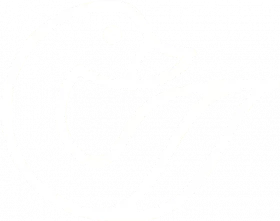 Goose_logo